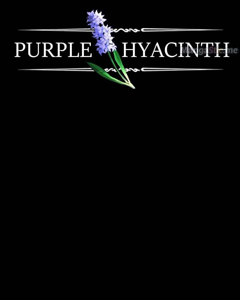 Purple Hyacinth Chapter 146 - page 24