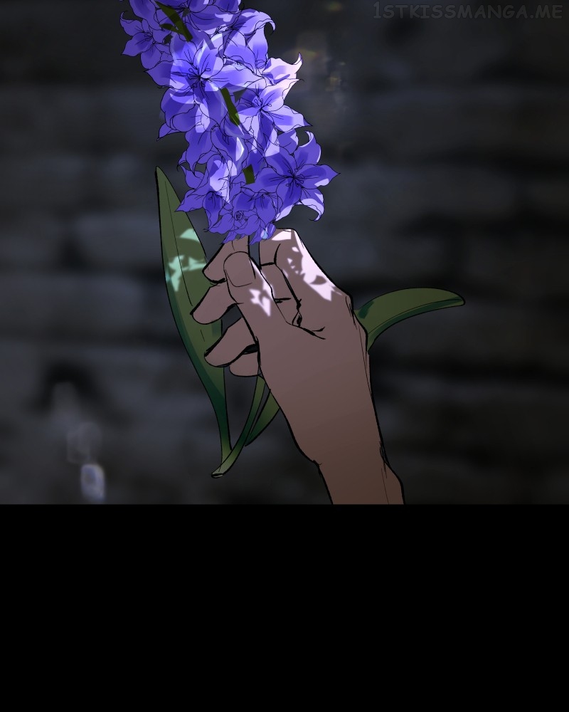 Purple Hyacinth Chapter 163 - page 203
