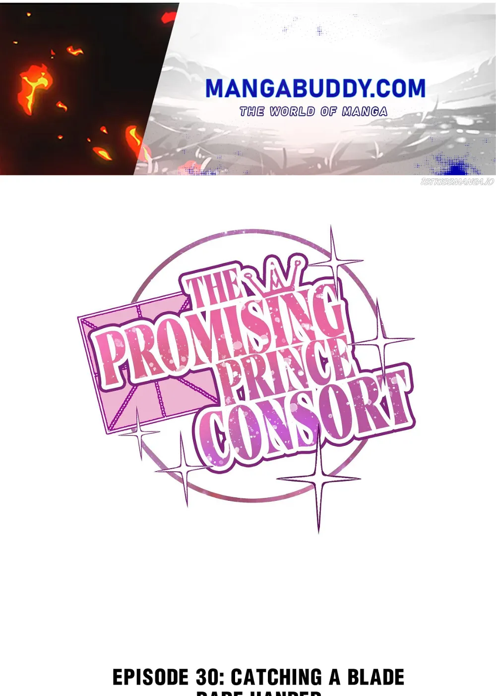 The Prince Consort Is Passing Chapter 30 - page 1