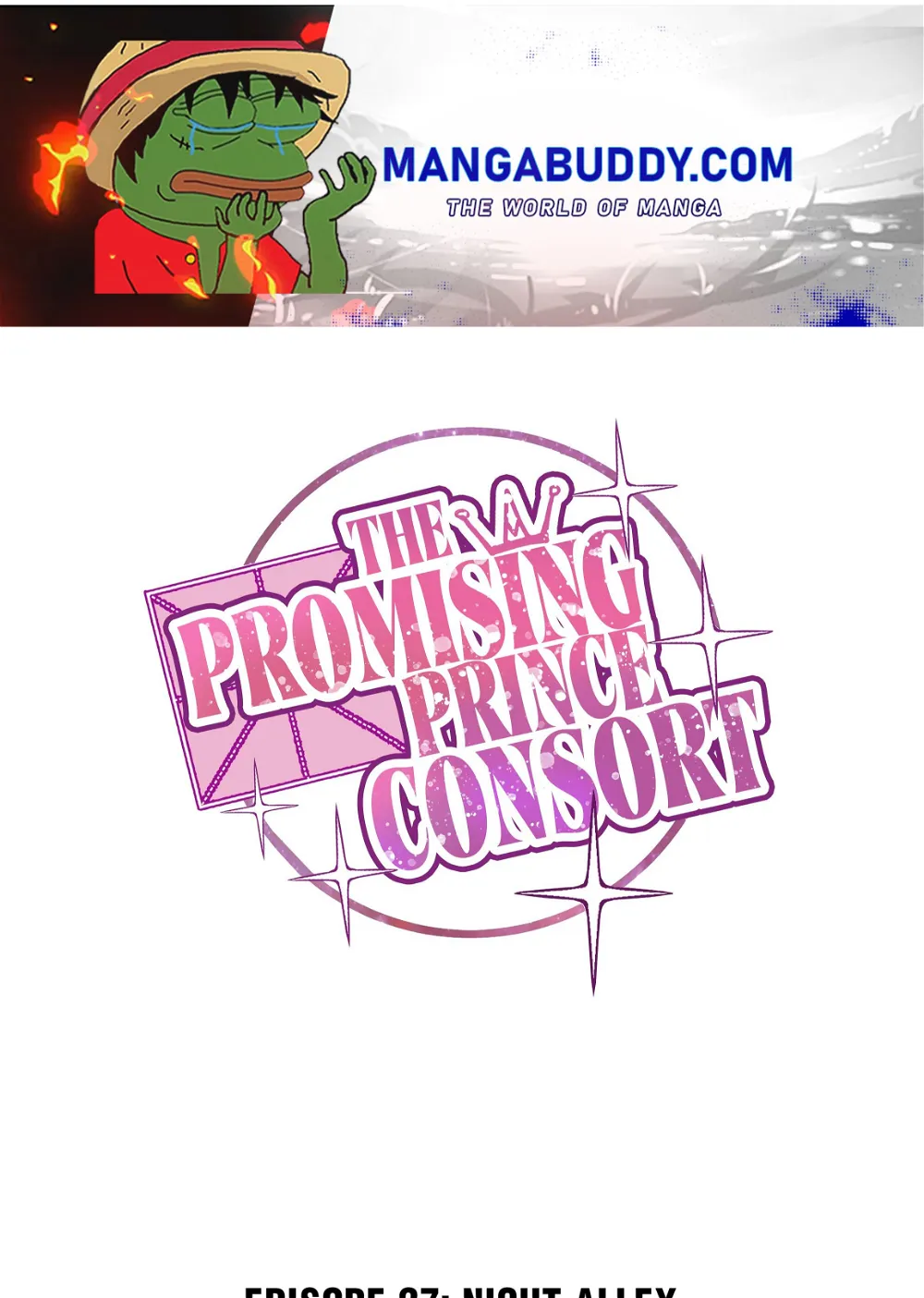 The Prince Consort Is Passing Chapter 27 - page 1