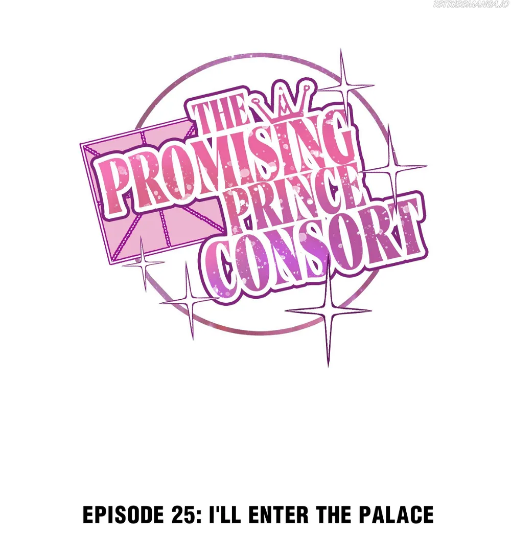 The Prince Consort Is Passing Chapter 25 - page 1