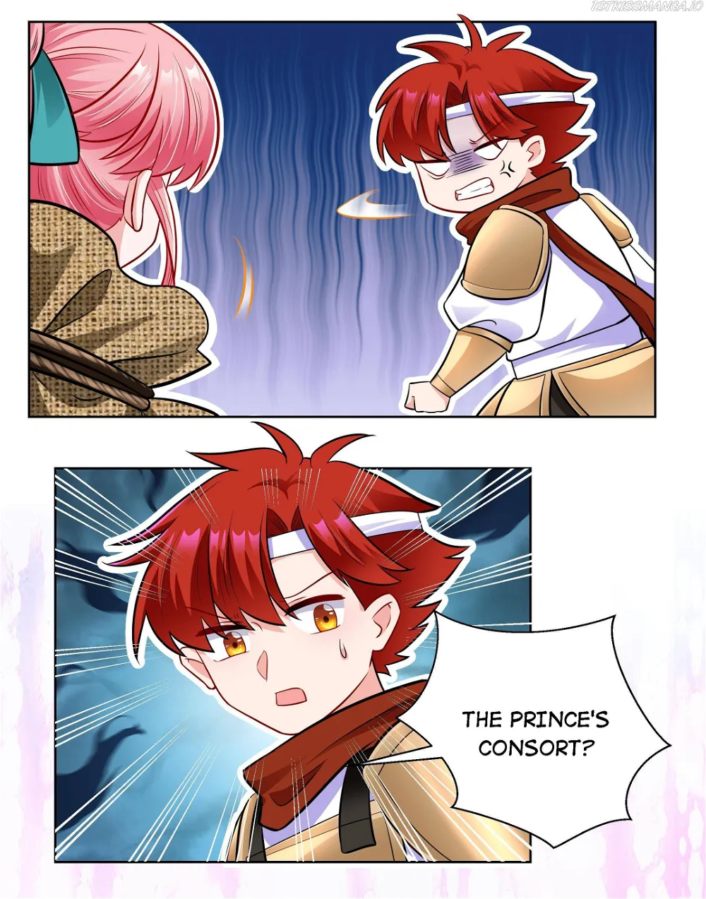 The Prince Consort Is Passing Chapter 25 - page 9