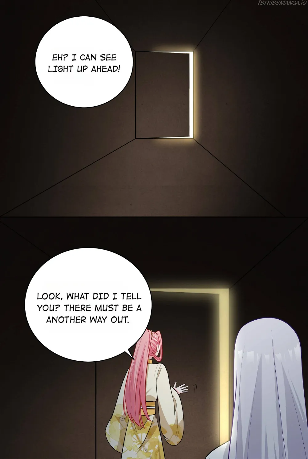 The Prince Consort Is Passing Chapter 66 - page 14