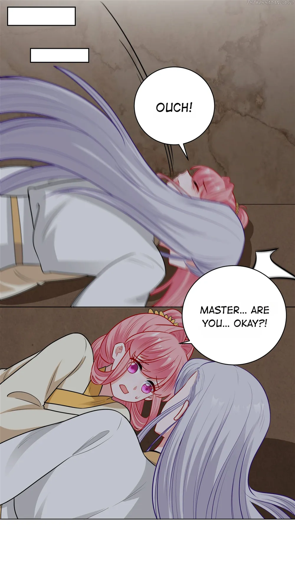 The Prince Consort Is Passing Chapter 66 - page 6