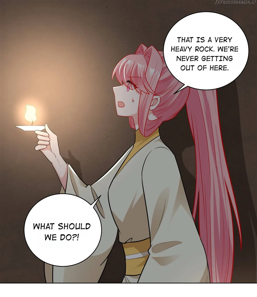 The Prince Consort Is Passing Chapter 66 - page 7