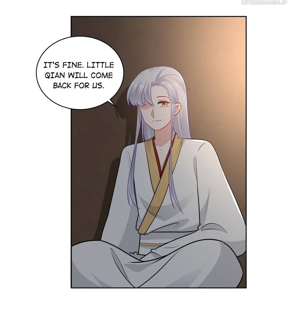 The Prince Consort Is Passing Chapter 66 - page 8