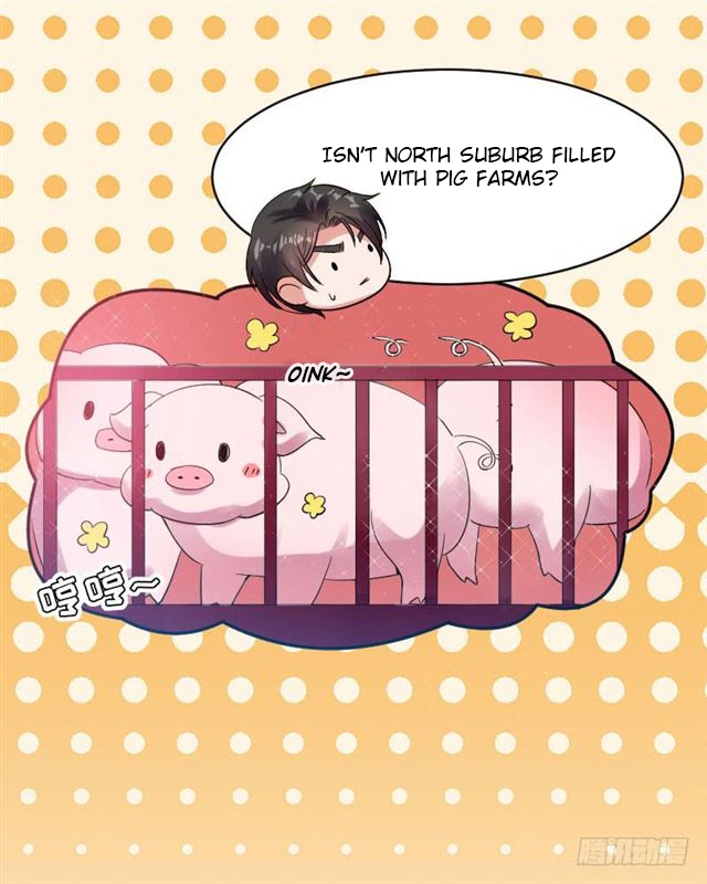 Genius cool treasure: President’s wife is too powerful Chapter 4 - page 19