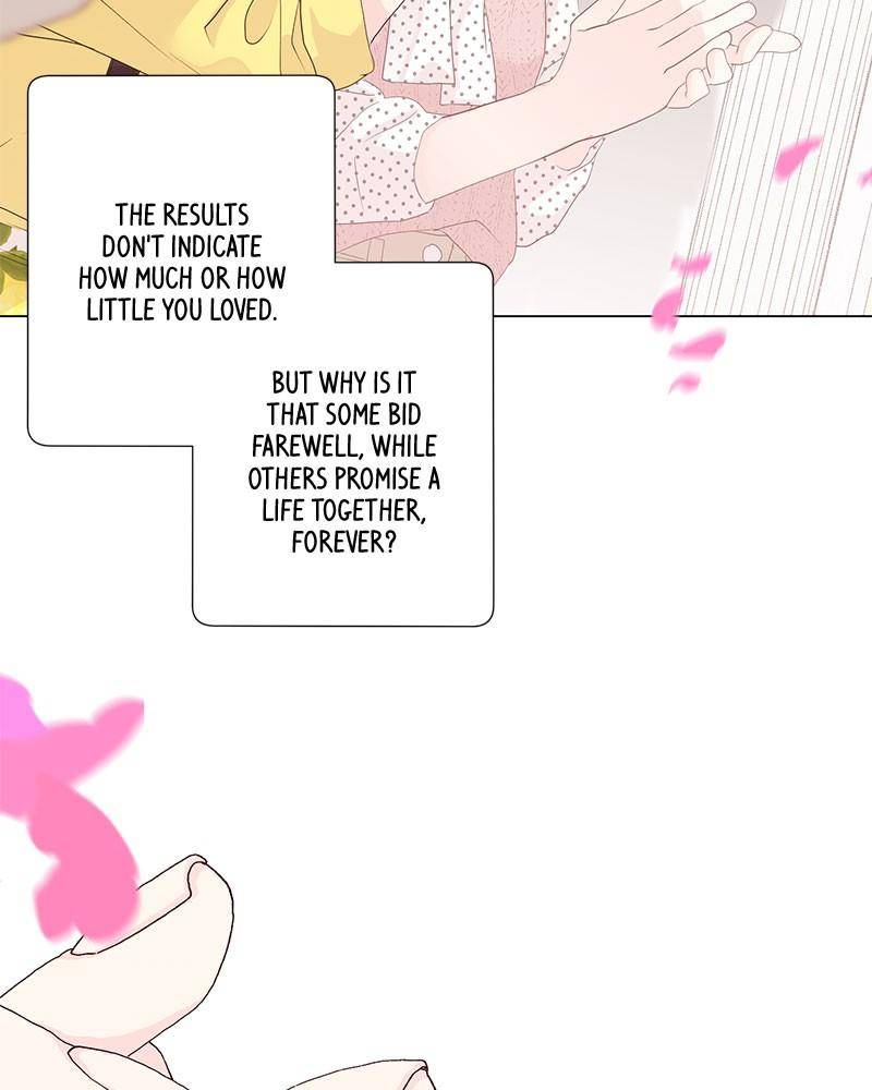 Love Falls Like Rain Chapter 1 - page 6