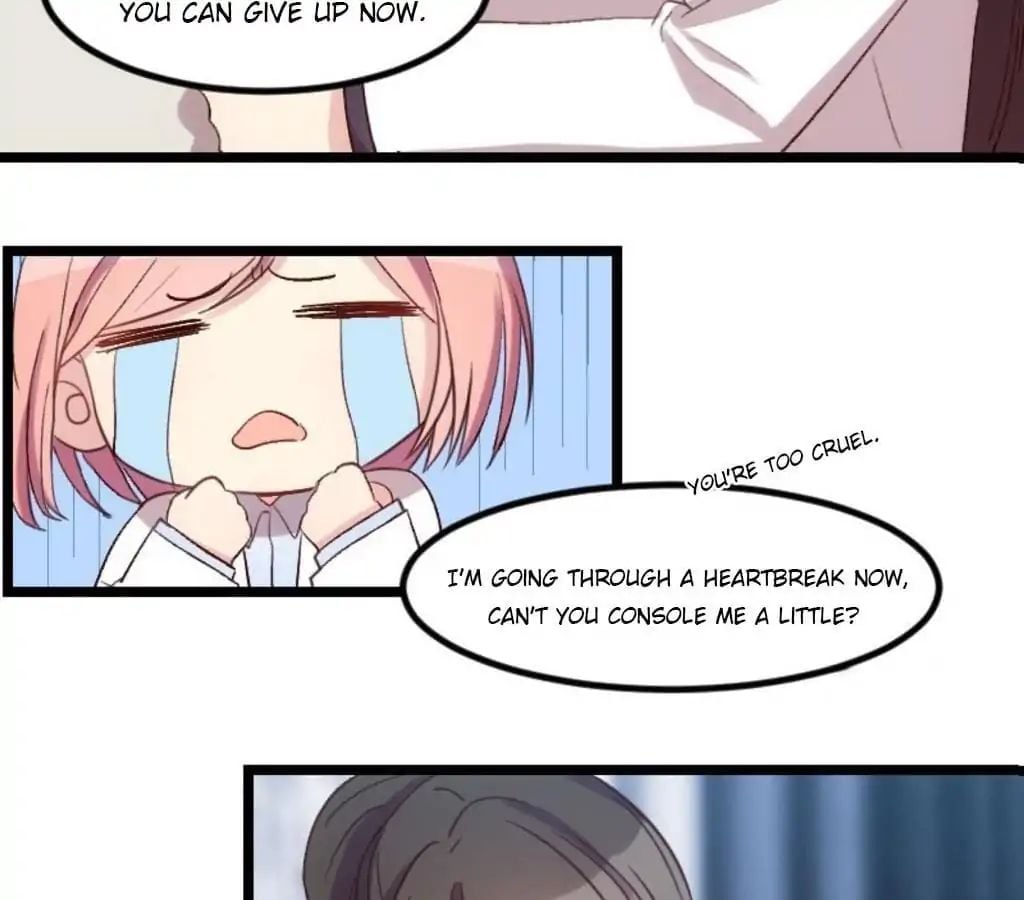 CEO’s Sudden Proposal Chapter 37 - page 12