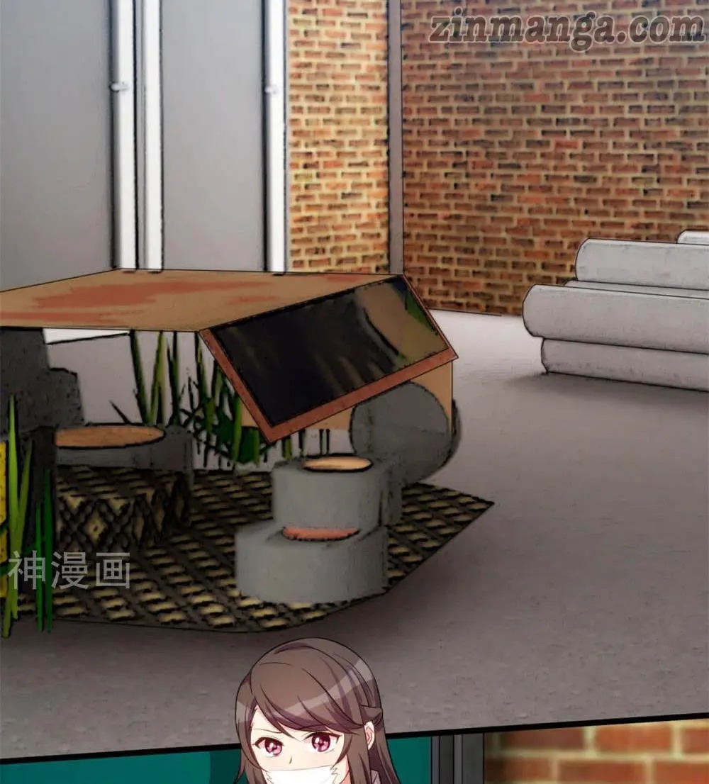 CEO’s Sudden Proposal Chapter 278 - page 23