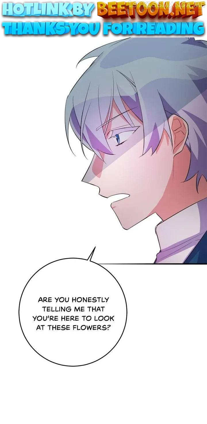 Taming the Lady Chapter 71.5 - page 1