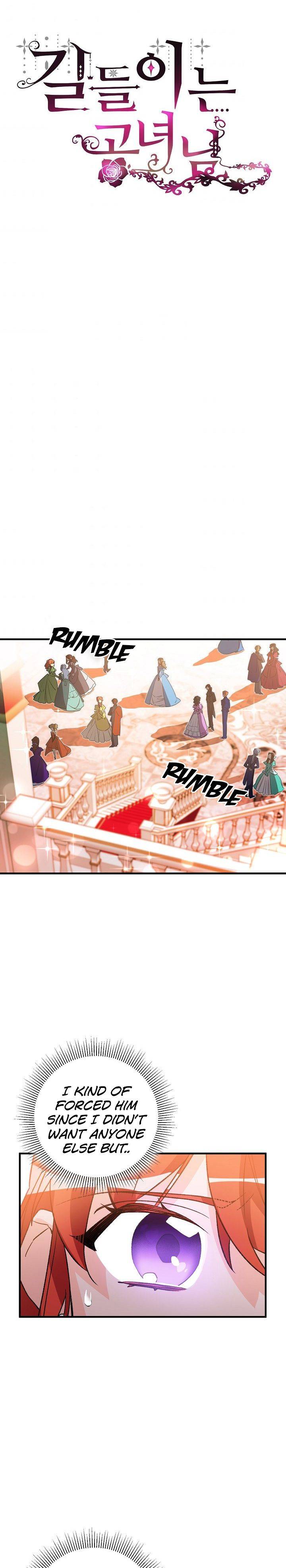 Taming the Lady Chapter 12 - page 13