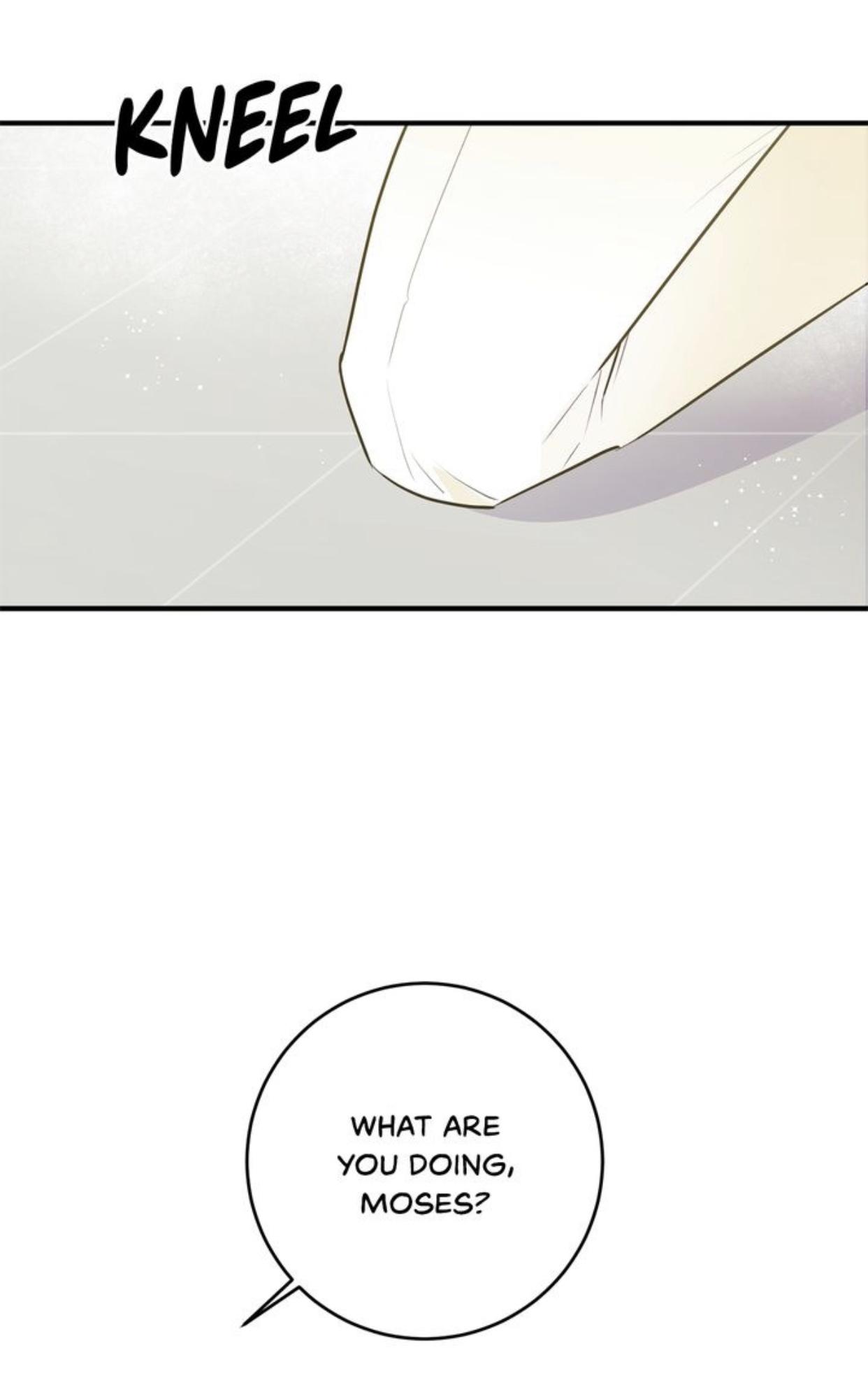 Taming the Lady Chapter 67 - page 65