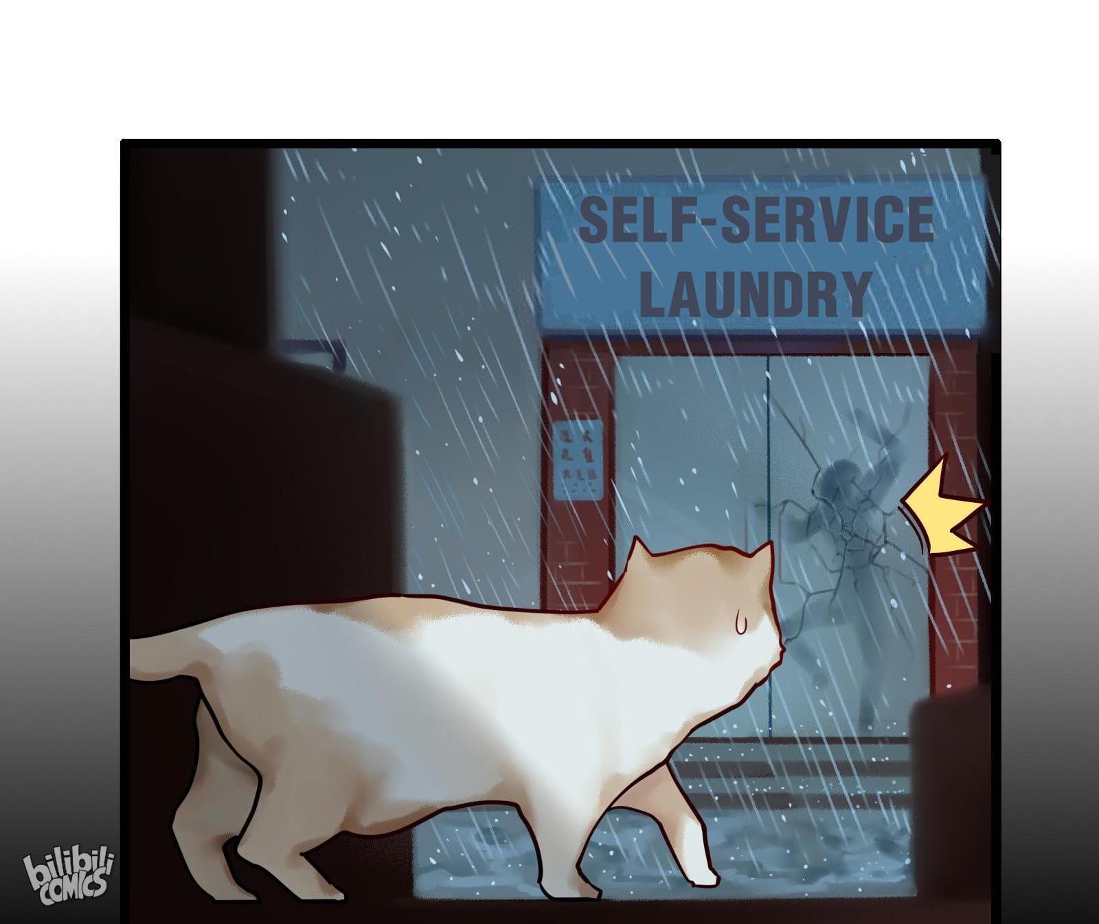 Please, Don’t Livestream It chapter 6 - page 30