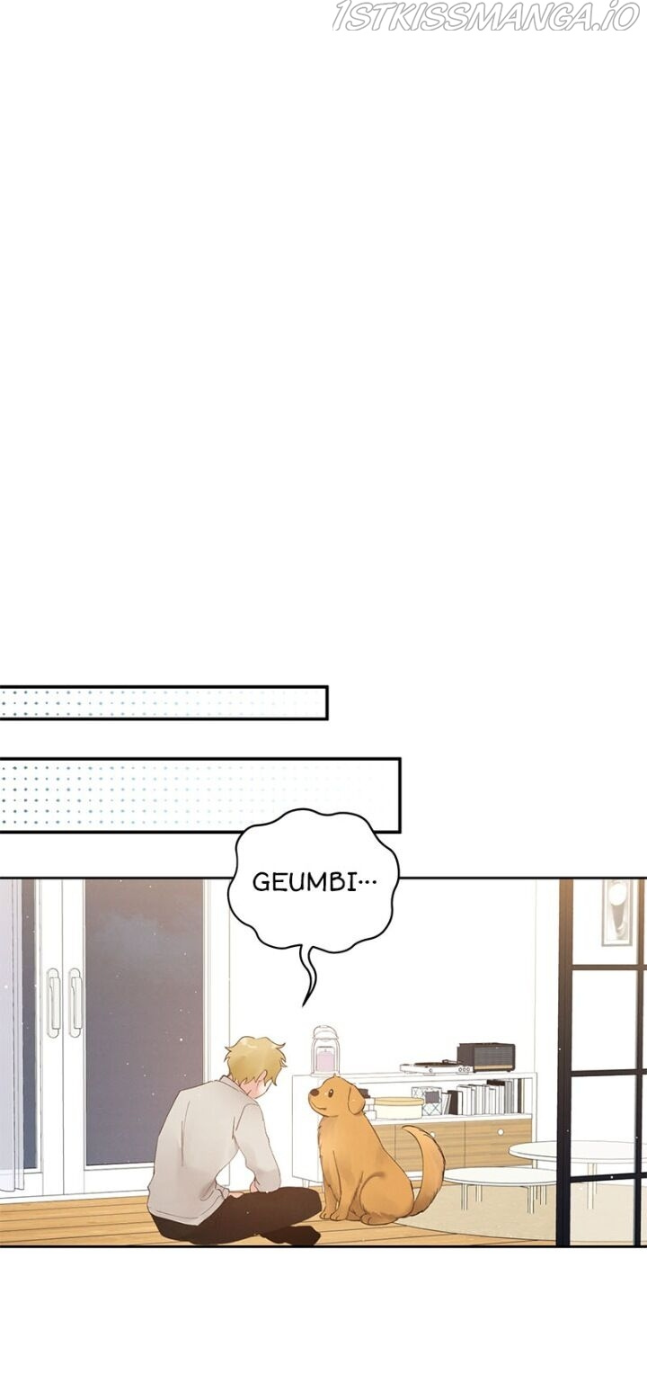 Romance is a bonus book chapter 51 - page 15