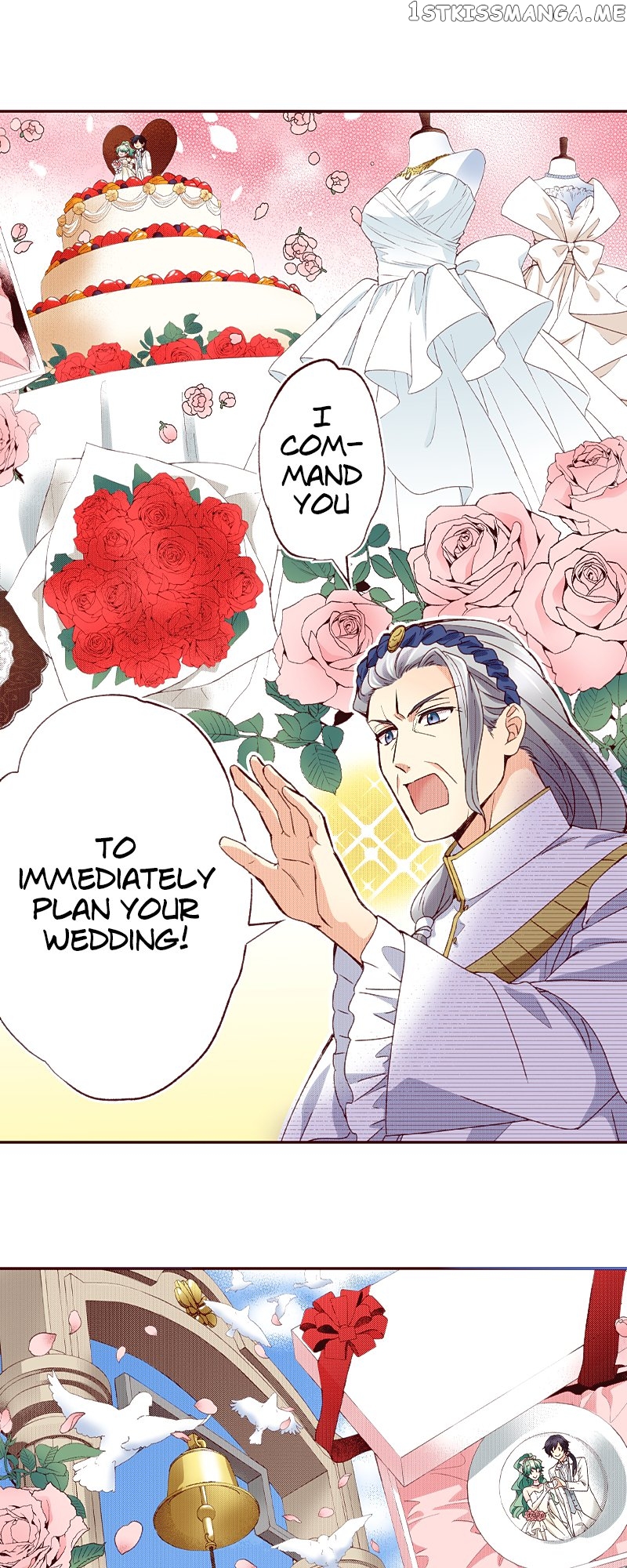 Grand Master Knight Has Become the Princess Chapter 29 - page 7