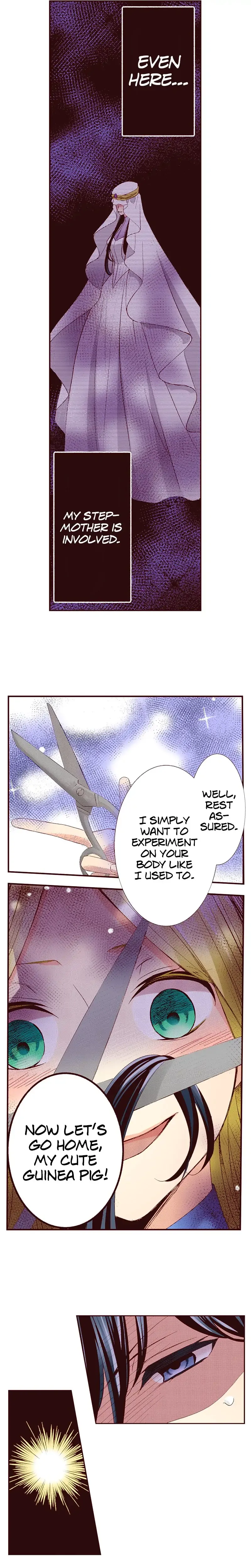 Grand Master Knight Has Become the Princess Chapter 19 - page 15