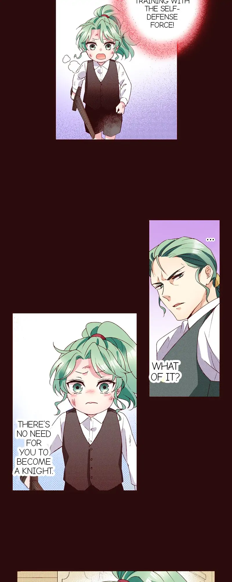 Grand Master Knight Has Become the Princess Chapter 24 - page 25