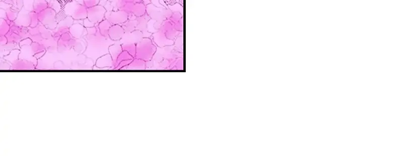 I Want to Escape from Princess Lessons Chapter 10 - page 14