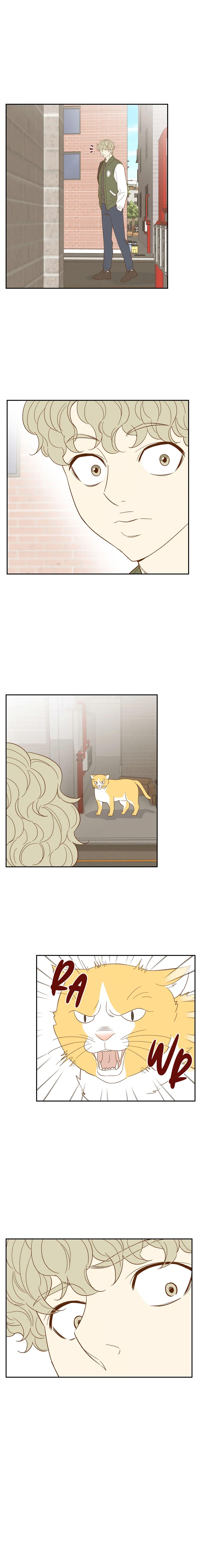 Hana’s Choice Chapter 35 - page 9