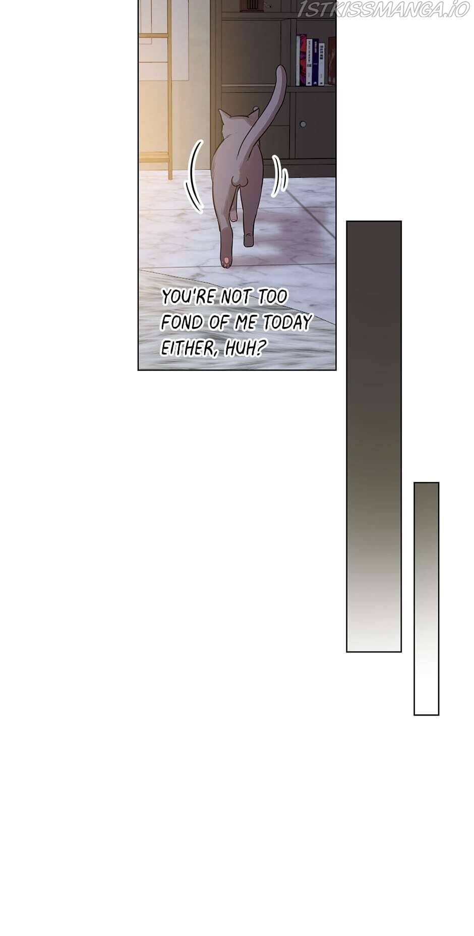 Green Light for Romance Chapter 11 - page 23