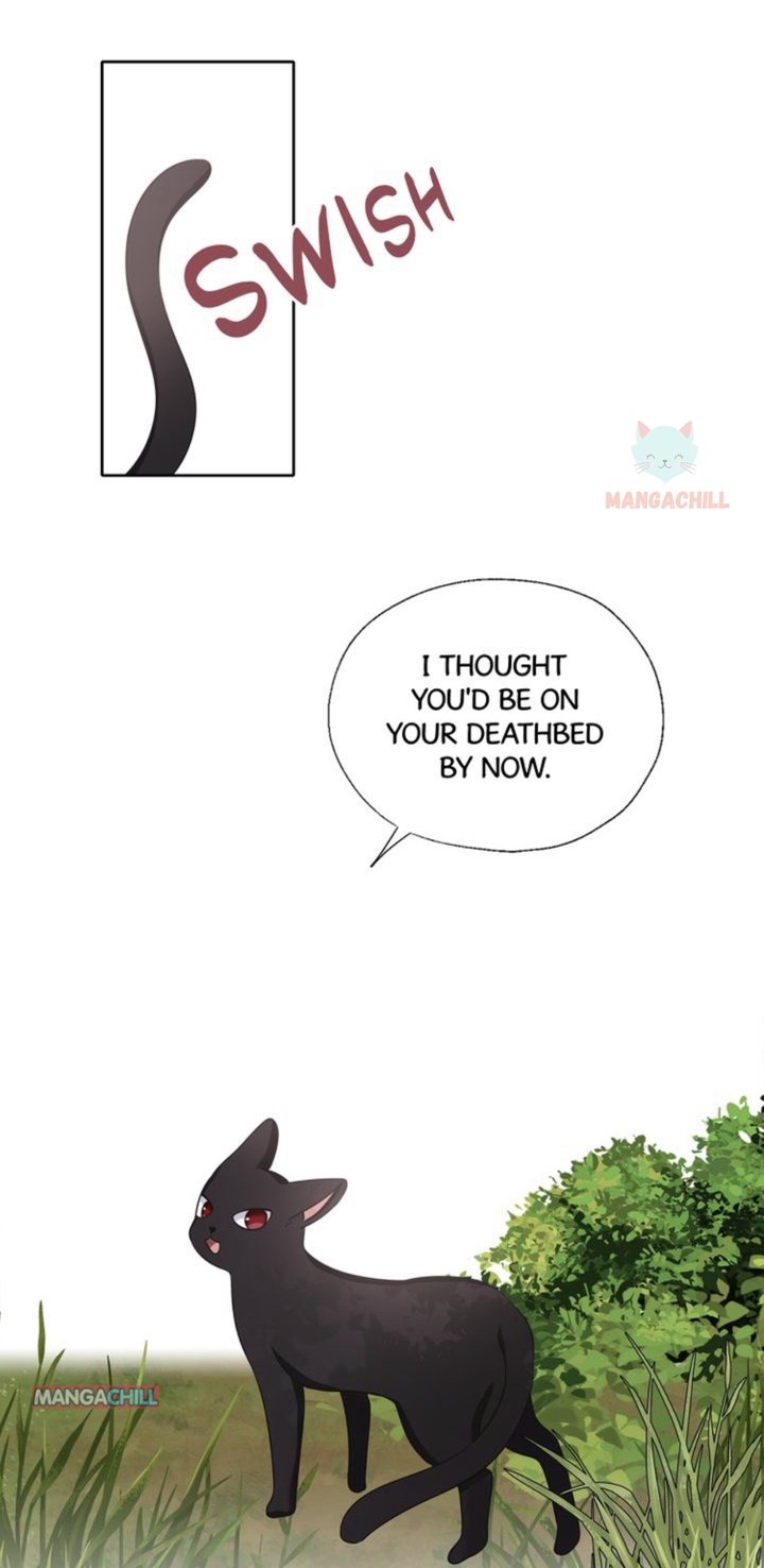 Follow The Bread Crumbs Chapter 53 - page 2