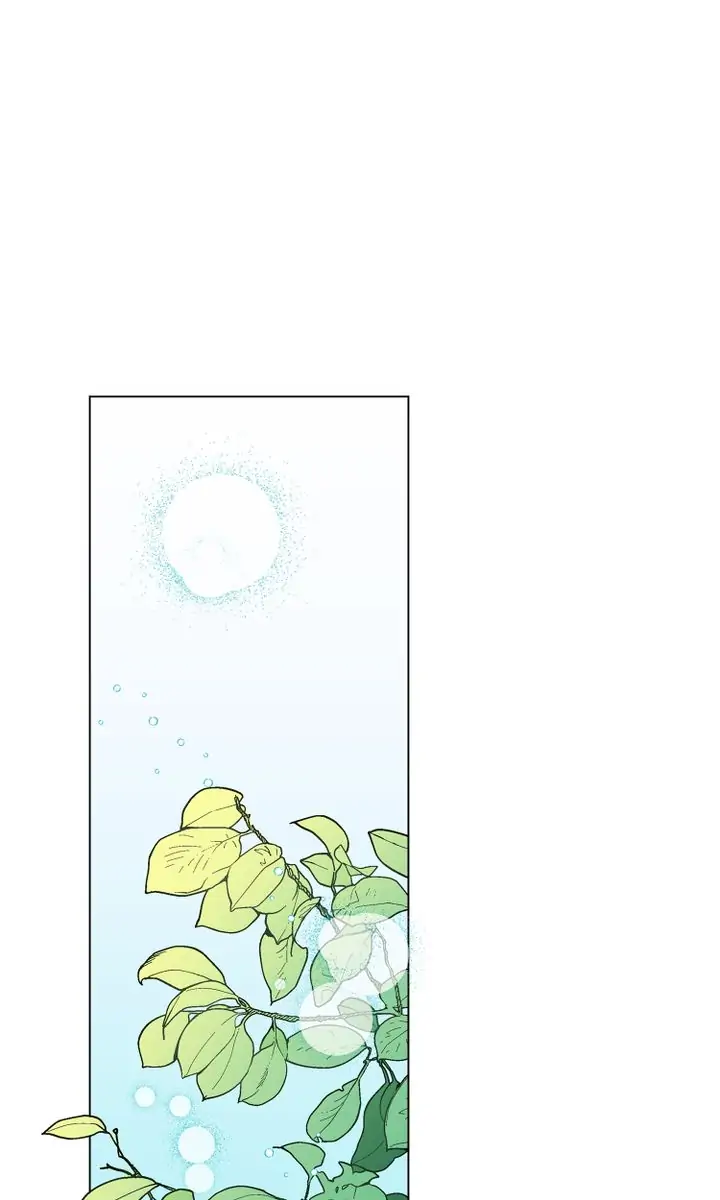 My Accidental Country Life chapter 0.1 - page 1