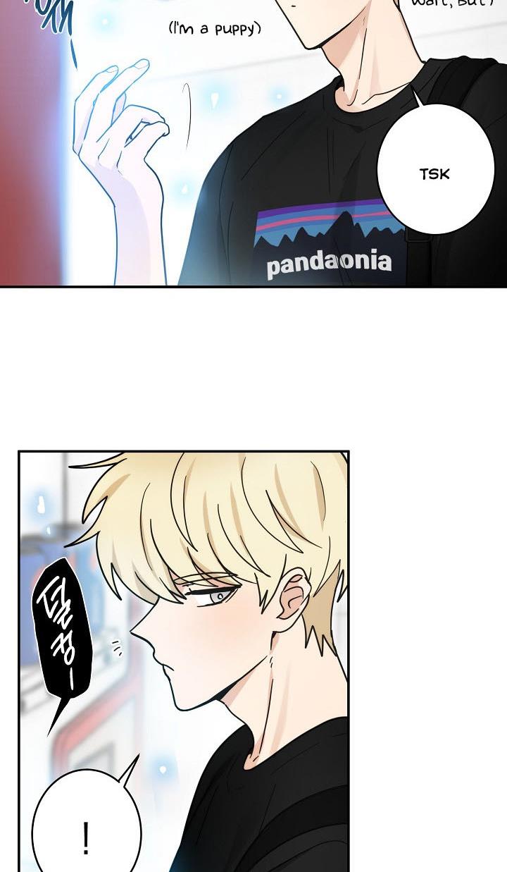 The Most Ordinary Girl Chapter 41 - page 48