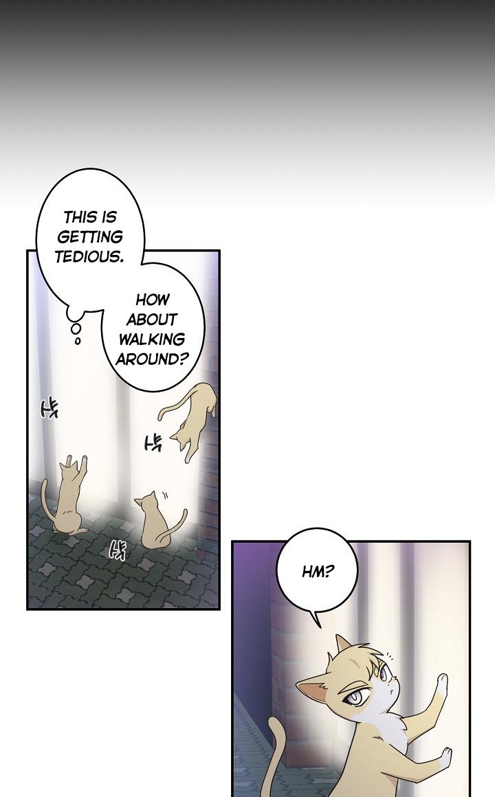 The Most Ordinary Girl Chapter 13 - page 8