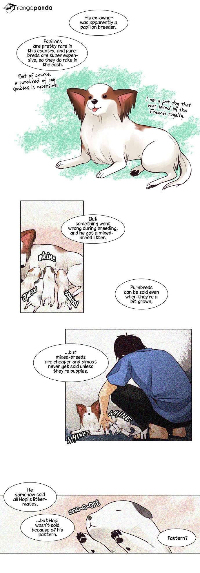Dear, Only You Don’t Know! Chapter 24 - page 10