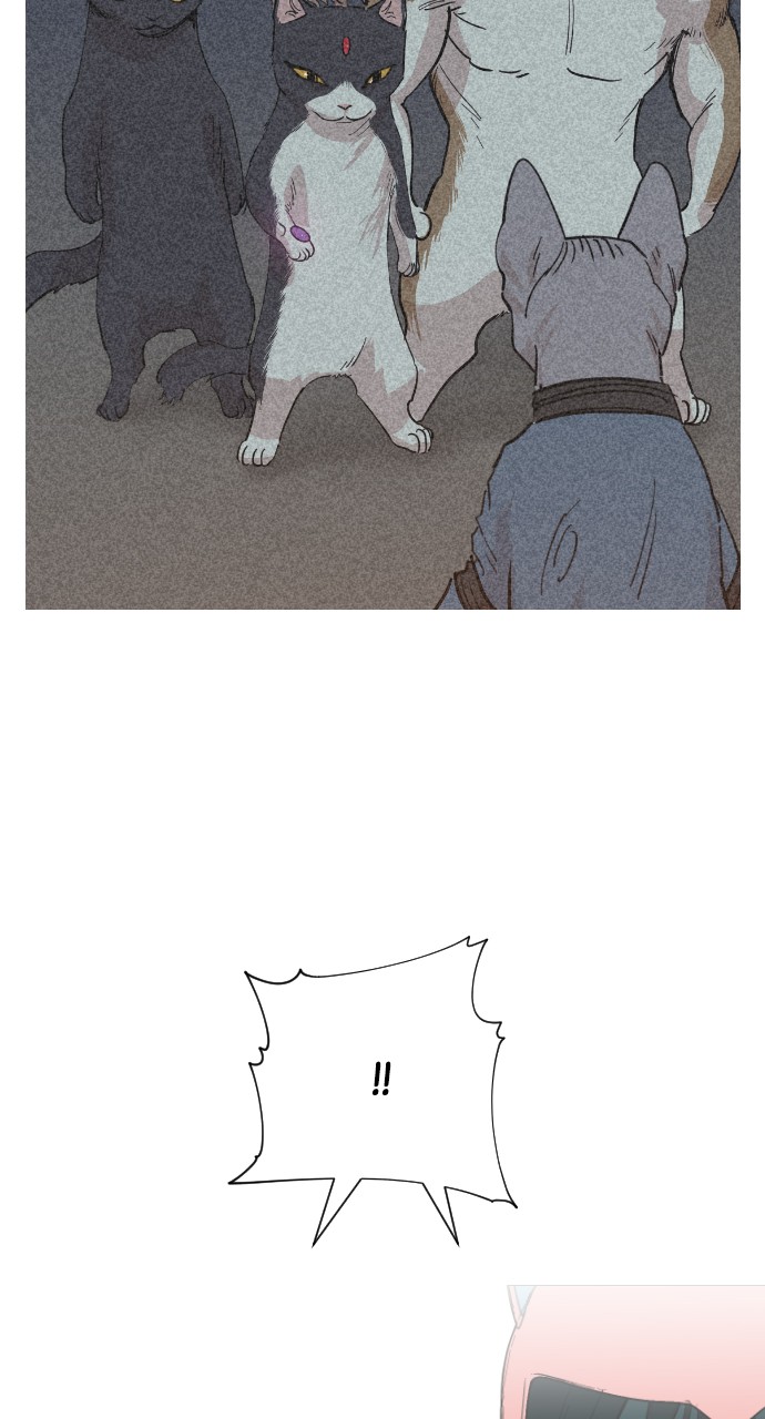 Meow Rangers Chapter 36 - page 73