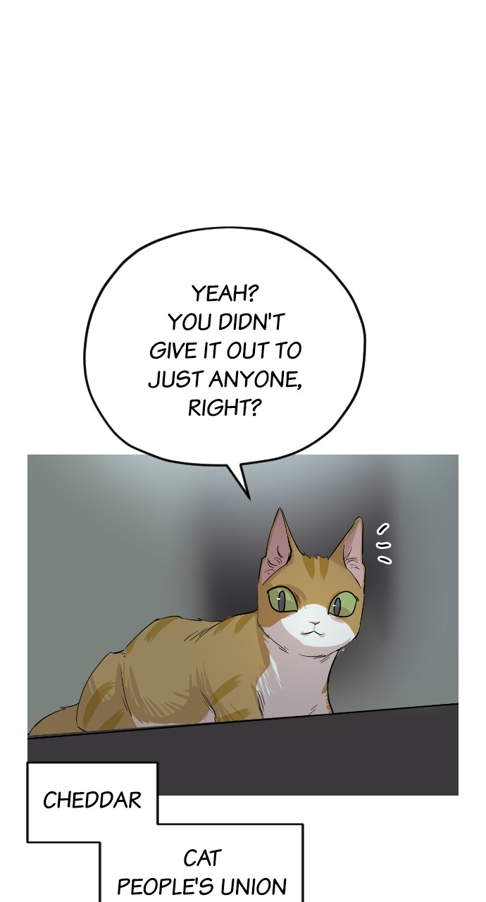 Meow Rangers Chapter 37 - page 28
