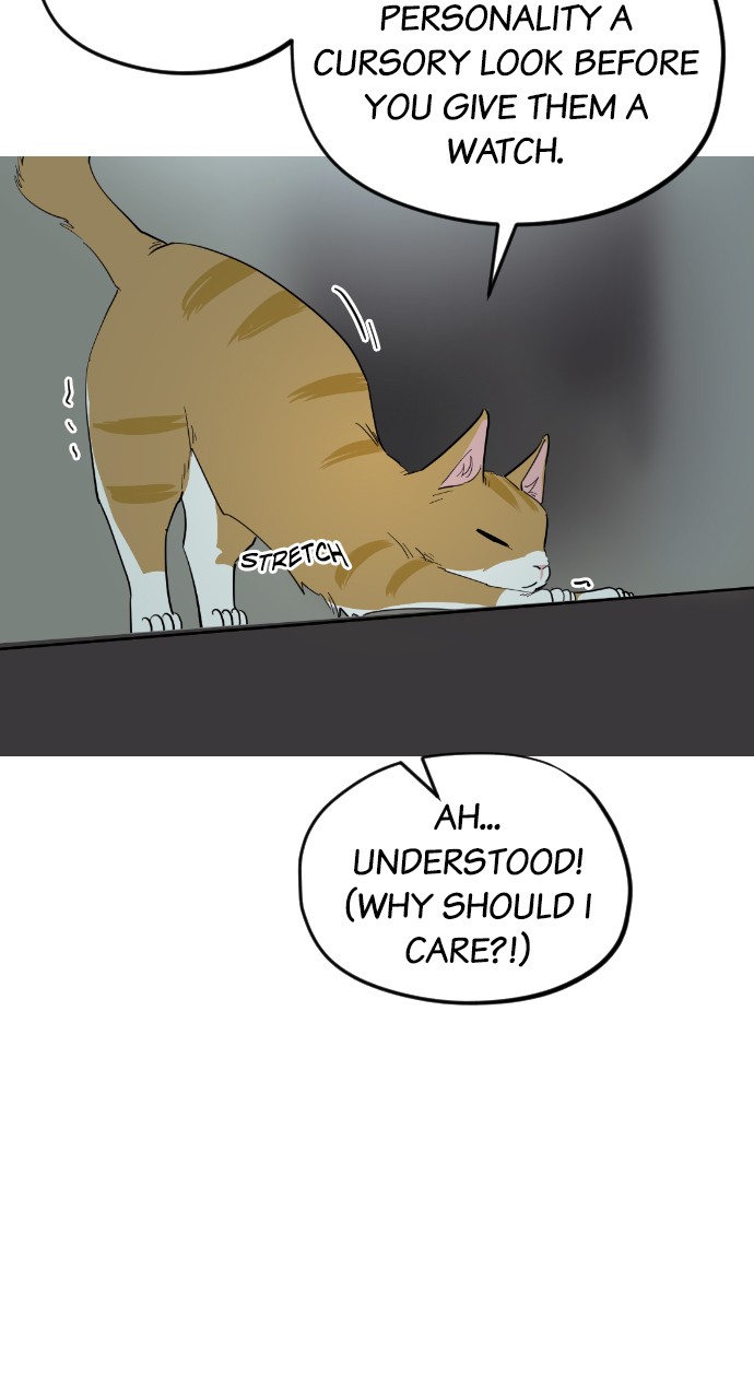 Meow Rangers Chapter 37 - page 31