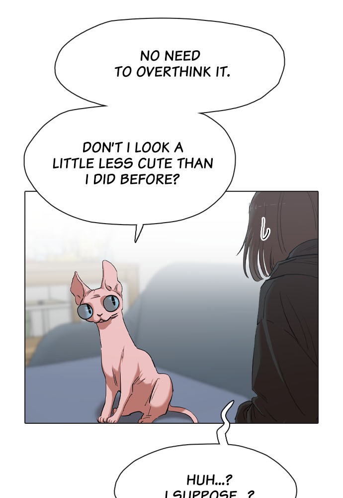 Meow Rangers Chapter 5 - page 30
