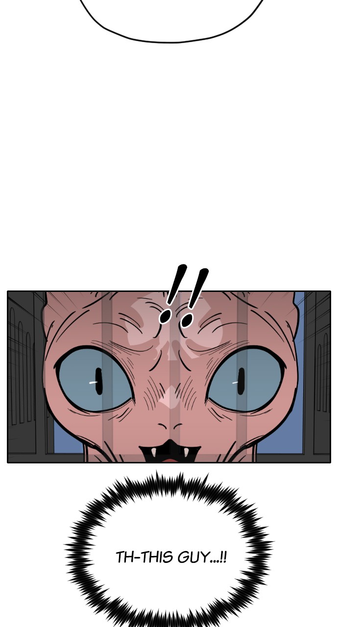 Meow Rangers Chapter 31 - page 2