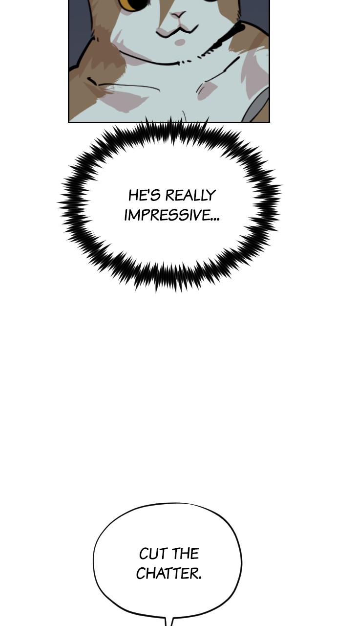 Meow Rangers Chapter 31 - page 31