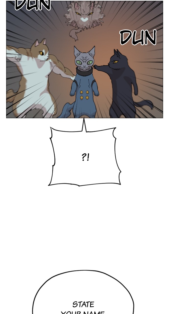 Meow Rangers Chapter 31 - page 50