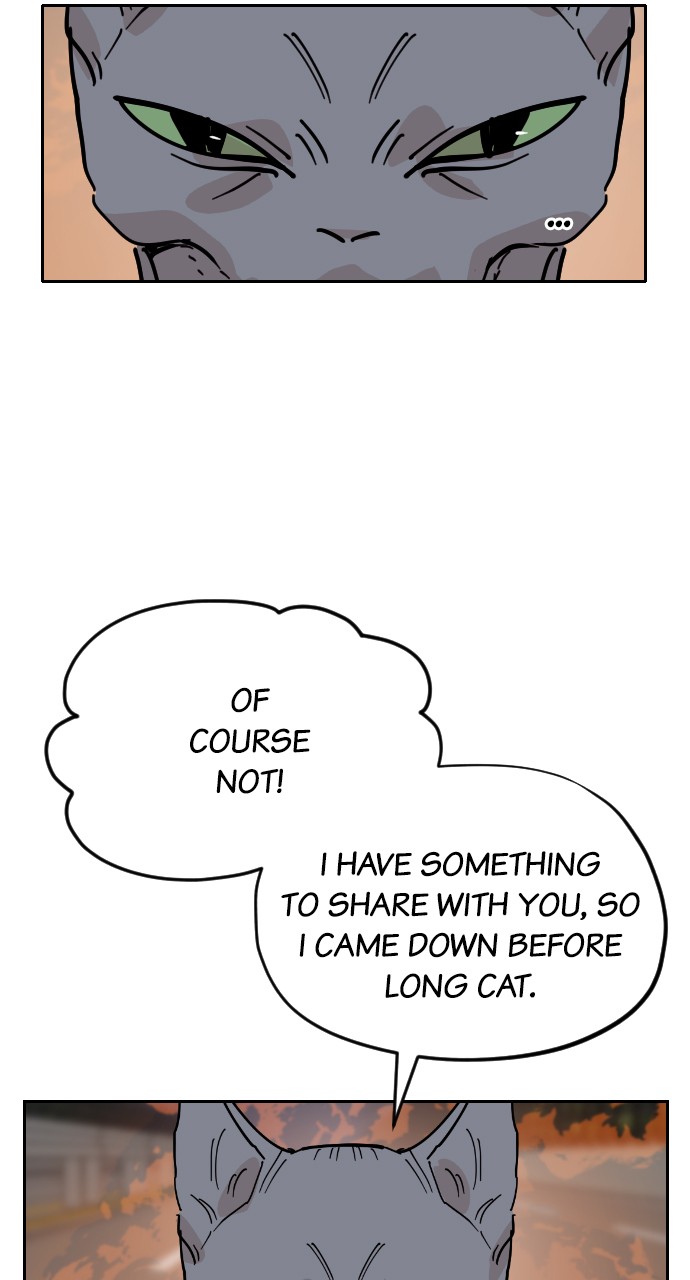 Meow Rangers Chapter 31 - page 54