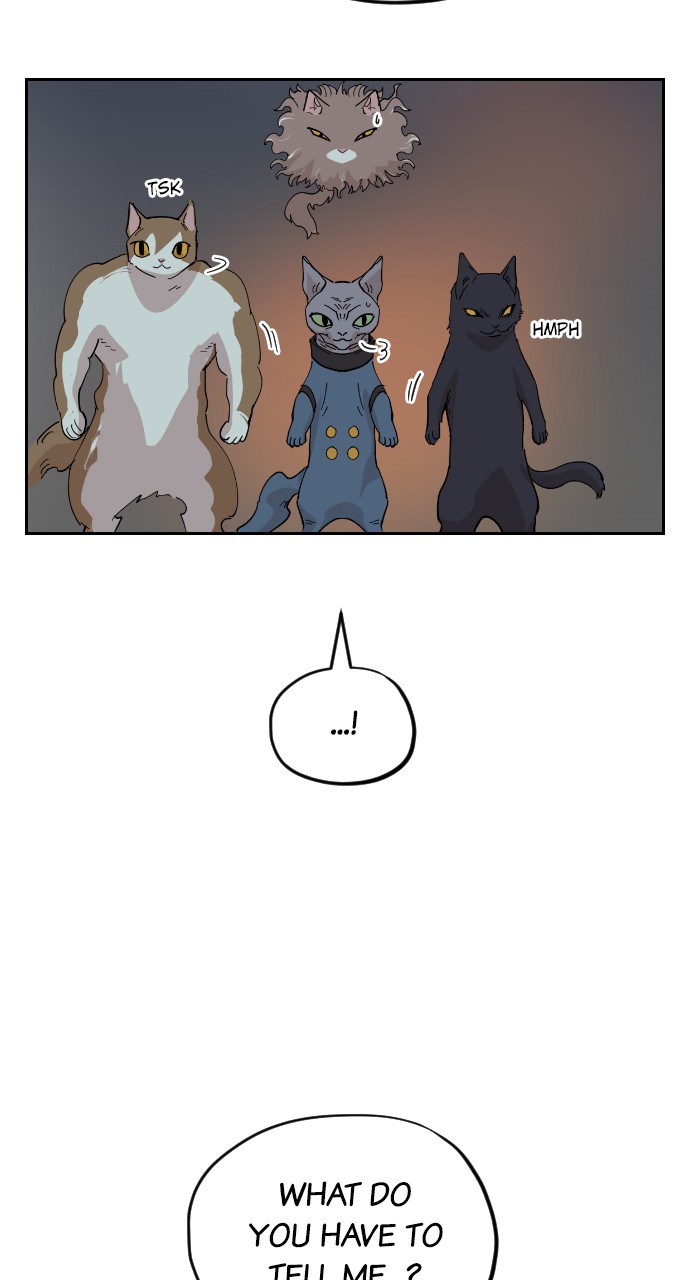 Meow Rangers Chapter 31 - page 56