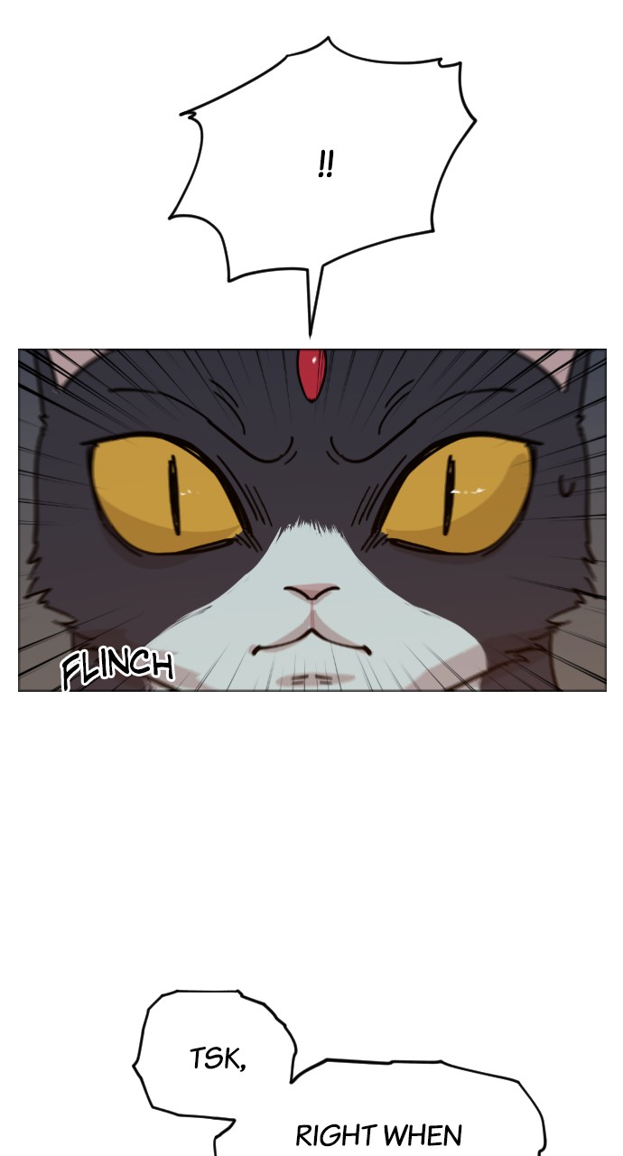 Meow Rangers Chapter 31 - page 62