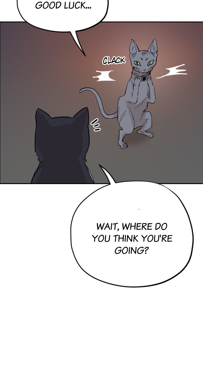 Meow Rangers Chapter 31 - page 72