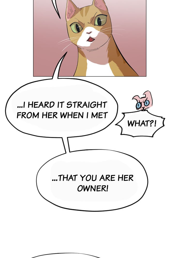 Meow Rangers Chapter 11 - page 51