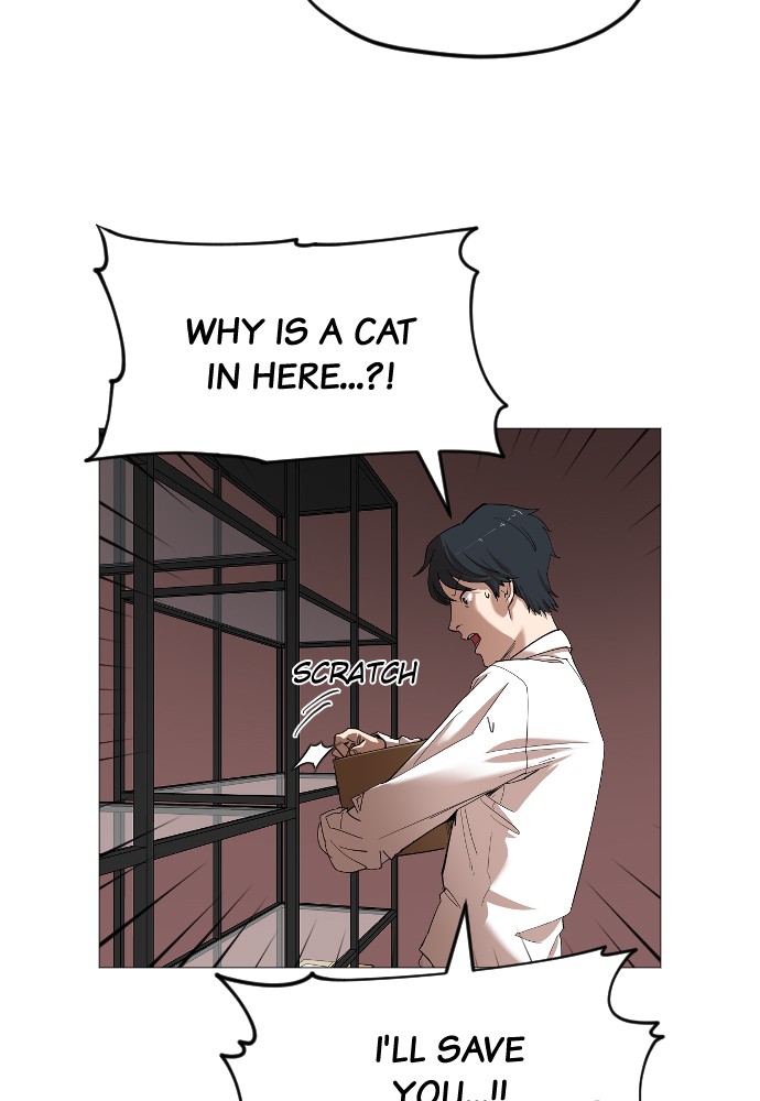 Meow Rangers Chapter 14 - page 42