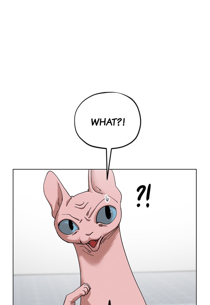 Meow Rangers Chapter 15 - page 1