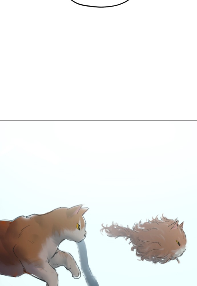 Meow Rangers Chapter 15 - page 23