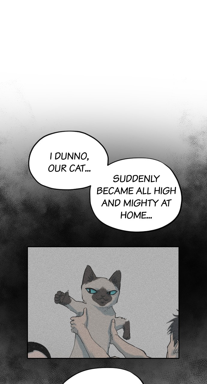 Meow Rangers Chapter 29 - page 60