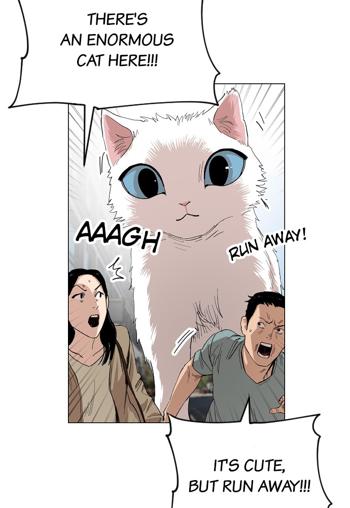 Meow Rangers Chapter 22 - page 50