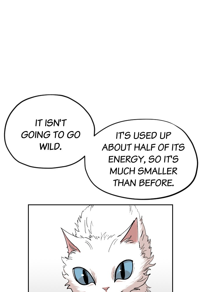 Meow Rangers Chapter 24 - page 21