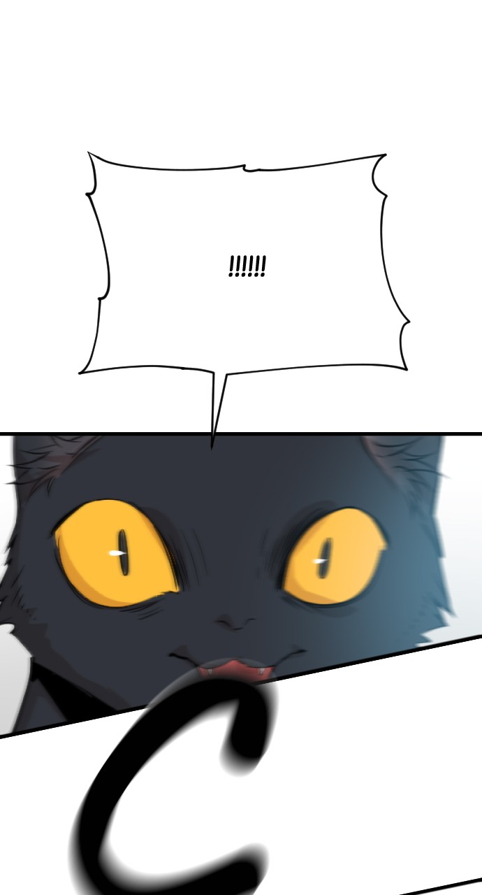Meow Rangers Chapter 27 - page 47