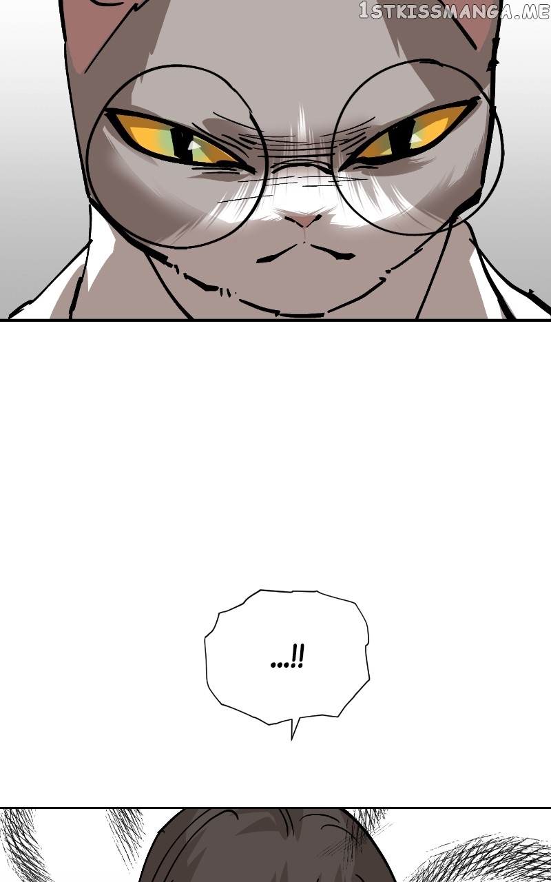 Meow Rangers Chapter 87 - page 63